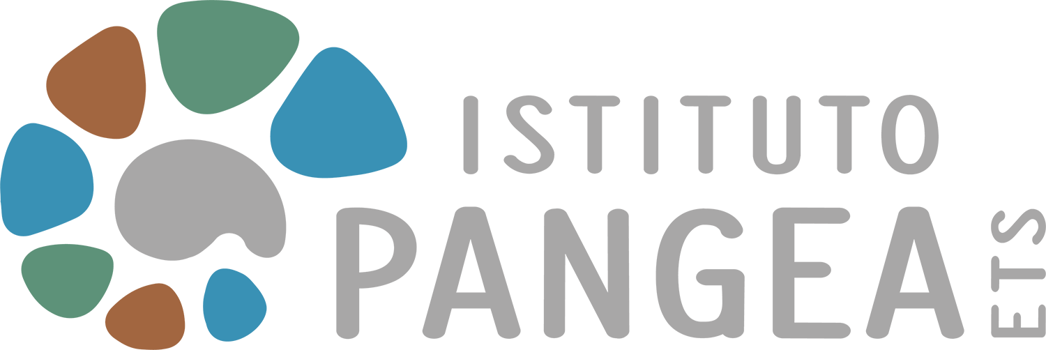 Logo ISTITUTO PANGEA - ETS